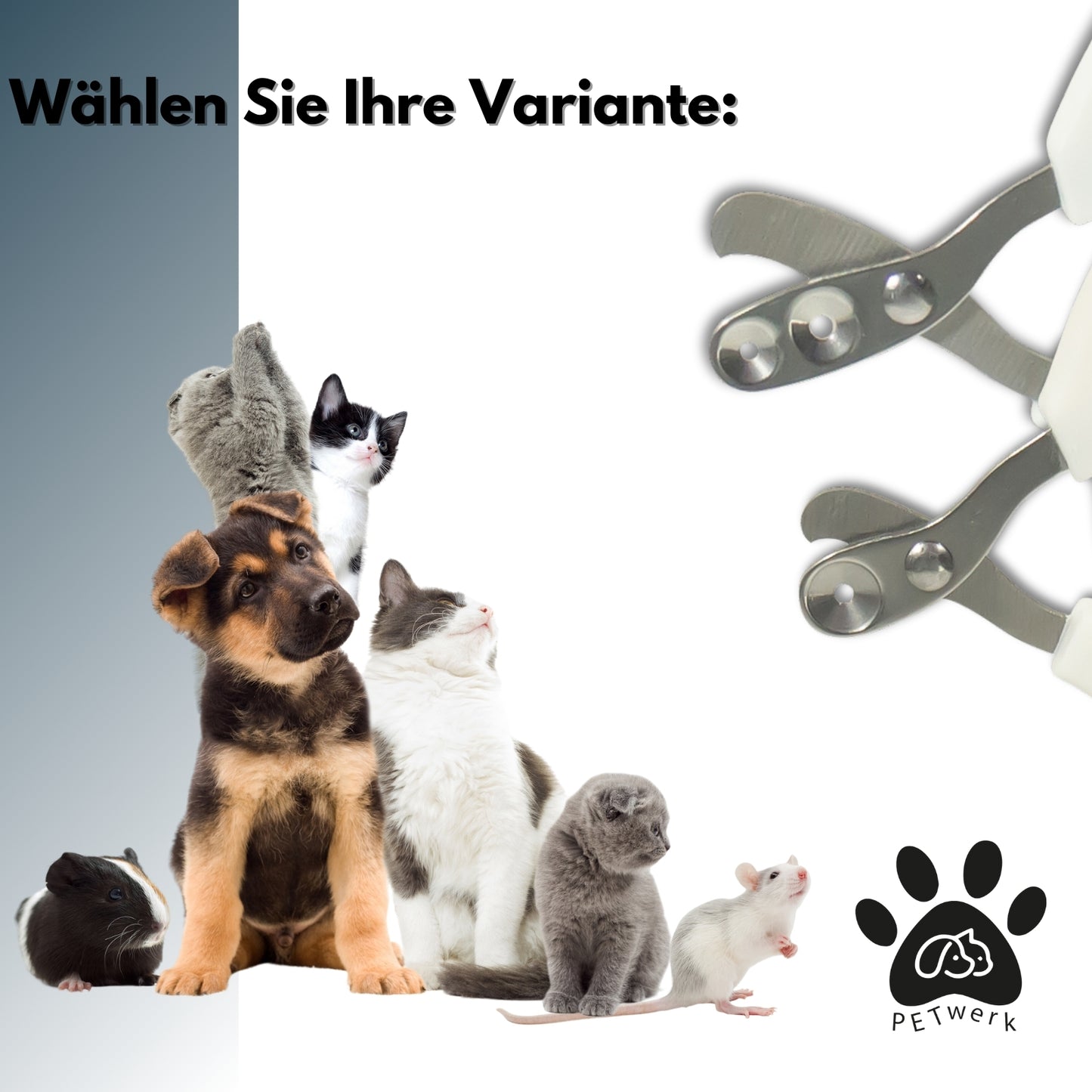 PETWERK® Krallenschere | Katzenkrallen| Hundekrallen| Krallenpflege| Nagelknipser