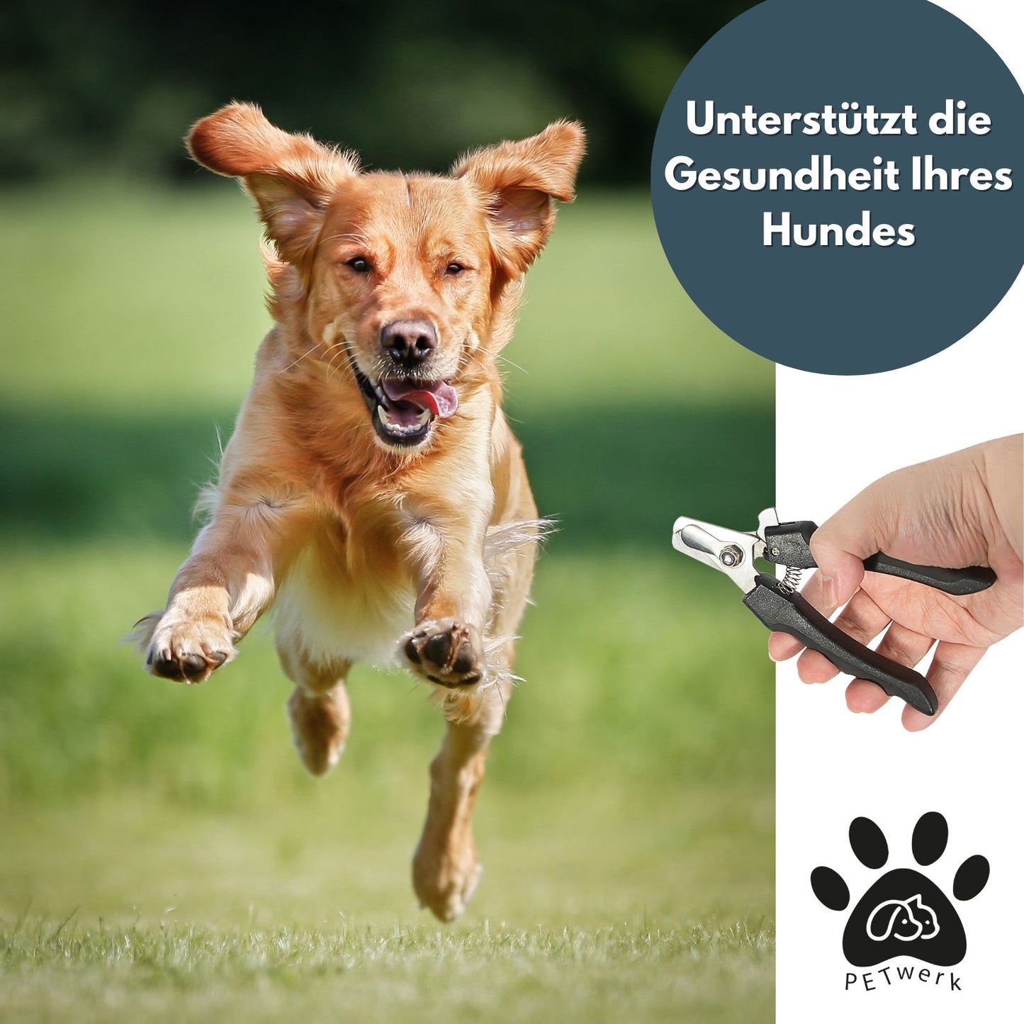 PETWERK® Krallenschere für Hund und Katze| Krallenstutzen| Krallenpflege| Edelstahl Krallenschere| Krallenknipser