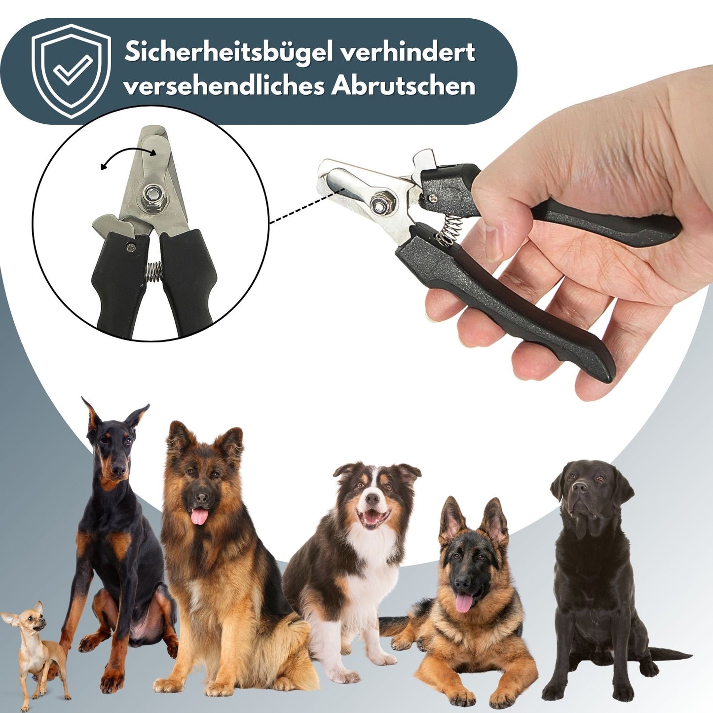 PETWERK® Krallenschere für Hund und Katze| Krallenstutzen| Krallenpflege| Edelstahl Krallenschere| Krallenknipser
