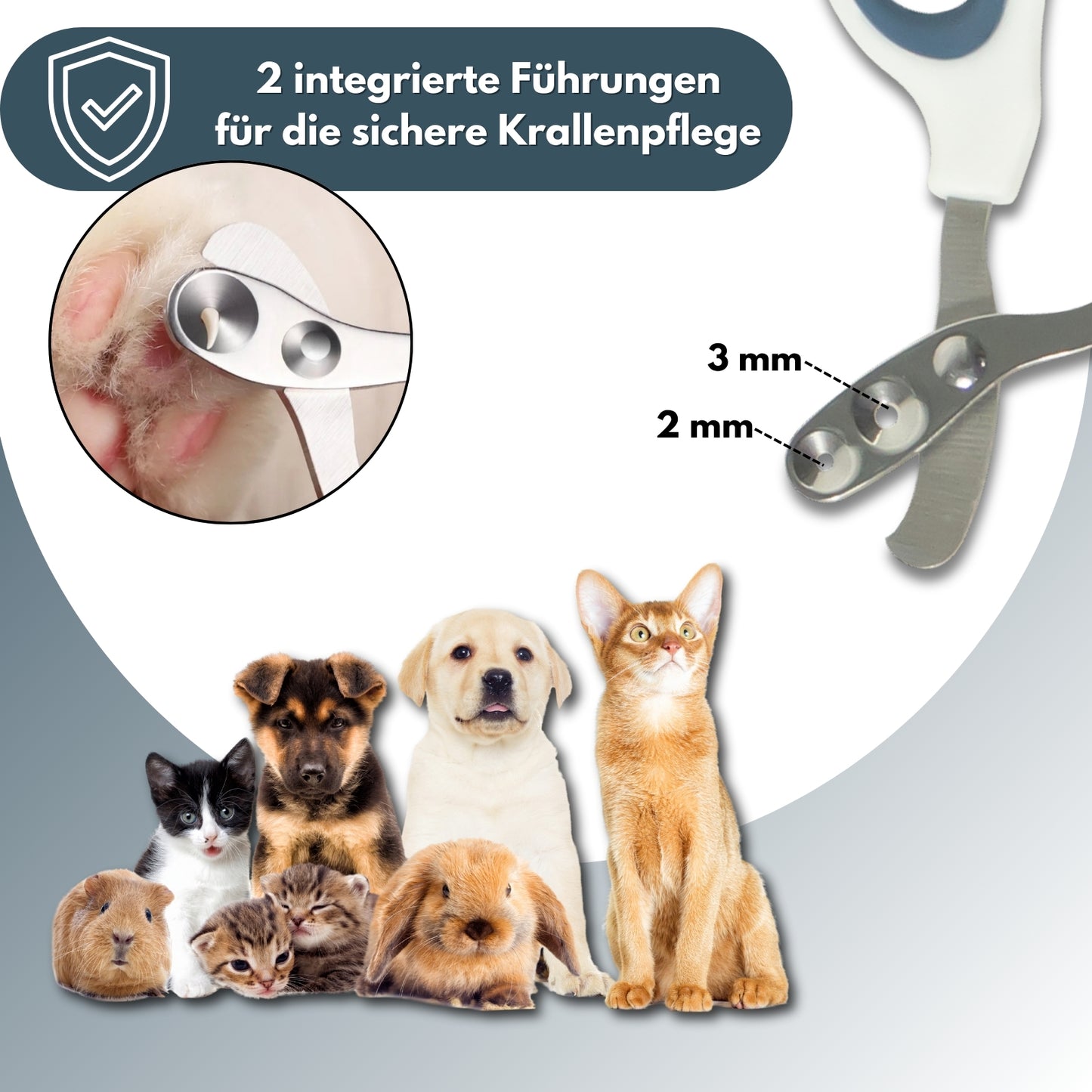 PETWERK® Krallenschere 2 Loch| Katzenkrallen| Hundekrallen| Krallenpflege| Nagelknipser (Kopie)