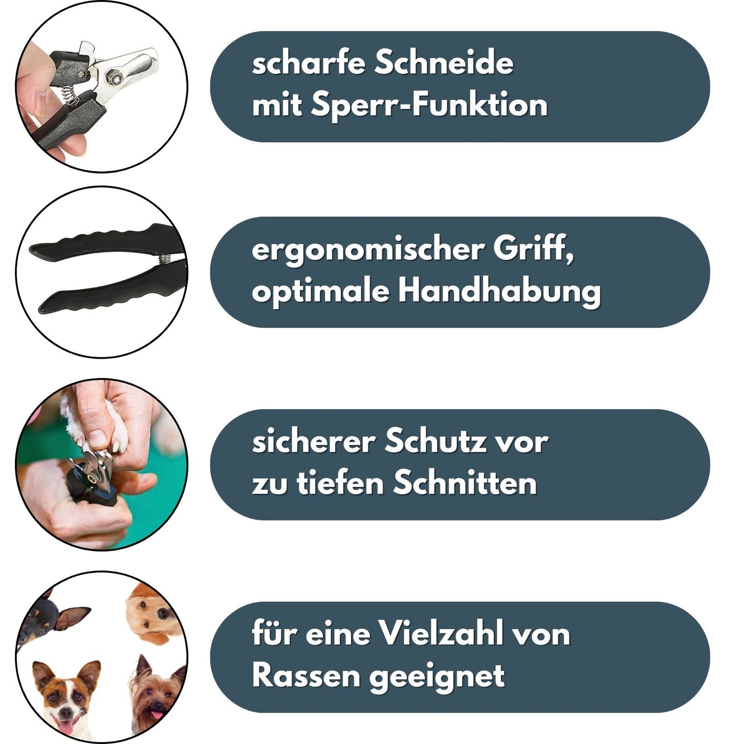 PETWERK® Krallenschere für Hund und Katze| Krallenstutzen| Krallenpflege| Edelstahl Krallenschere| Krallenknipser