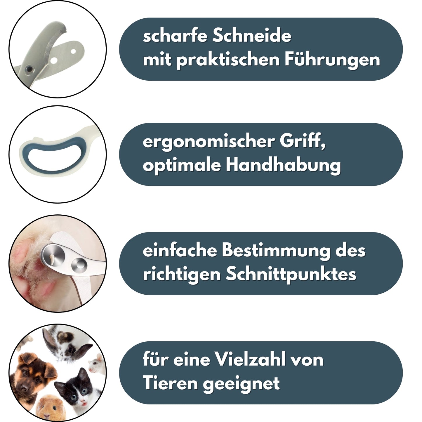 PETWERK® Krallenschere 2 Loch| Katzenkrallen| Hundekrallen| Krallenpflege| Nagelknipser (Kopie)