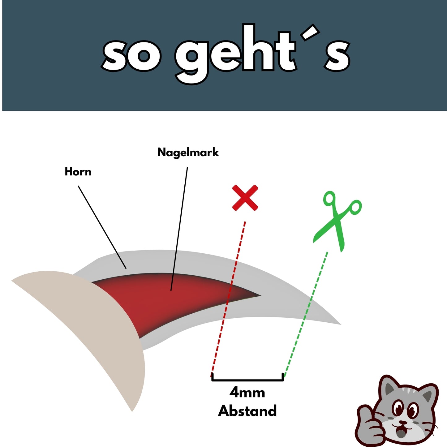 PETWERK® Krallenschere 2 Loch| Katzenkrallen| Hundekrallen| Krallenpflege| Nagelknipser (Kopie)