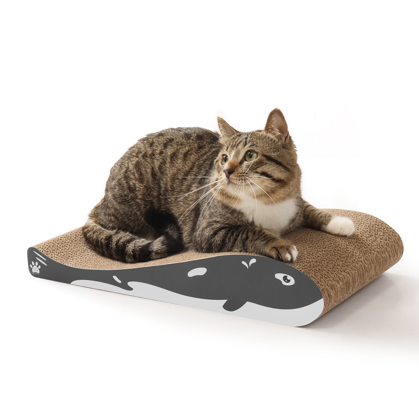 PETWERK® Katzenkratzbrett Wally | Katzenkratzpappe| Katzenkratzmöbel | Katzenflegeartikel