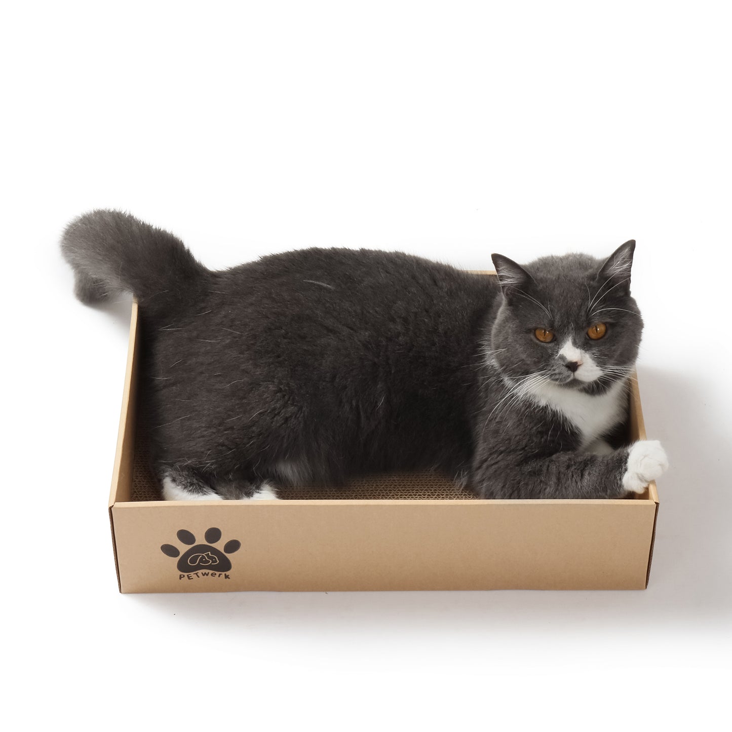 PETWERK® Katzenkratzpappe PANDOR Box mit 5 Kratzbrettern - Doppelseitige Kratzpappe für Katzen - Kratzbrett Katze zur Krallenpflege - Kratzbox - Kratz Karton - 28L x 10,5B x 44H cm