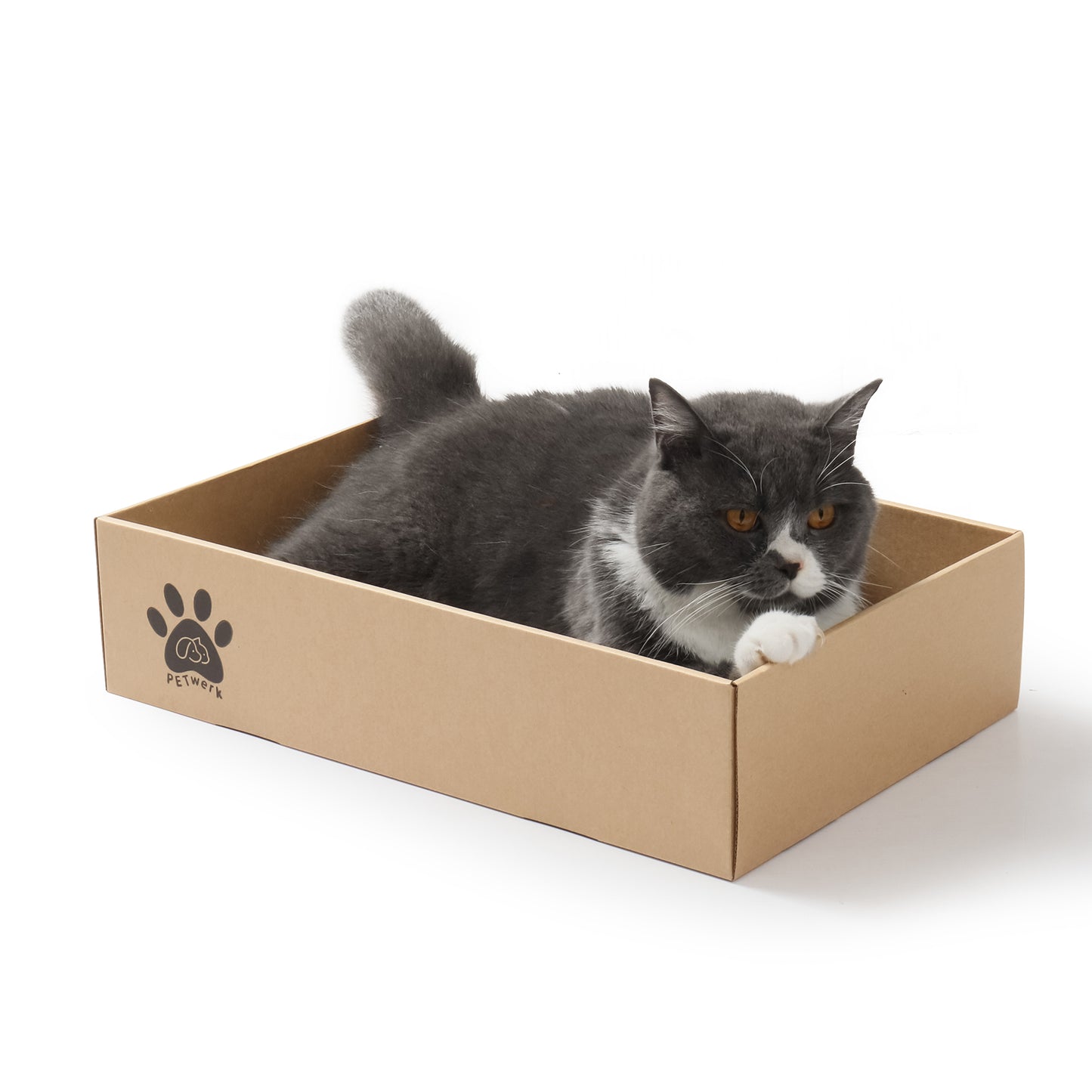PETWERK® Katzenkratzpappe PANDOR Box mit 5 Kratzbrettern - Doppelseitige Kratzpappe für Katzen - Kratzbrett Katze zur Krallenpflege - Kratzbox - Kratz Karton - 28L x 10,5B x 44H cm