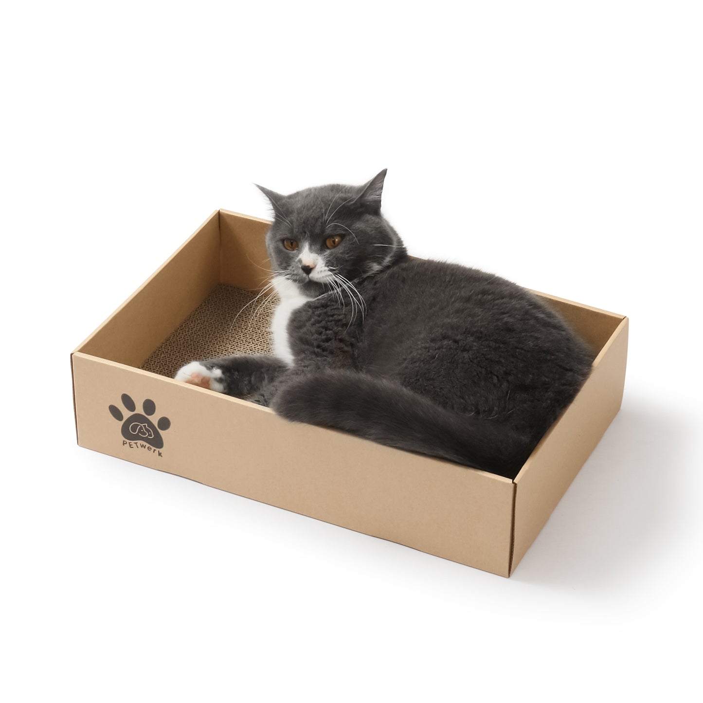 PETWERK® Katzenkratzpappe PANDOR Box mit 5 Kratzbrettern - Doppelseitige Kratzpappe für Katzen - Kratzbrett Katze zur Krallenpflege - Kratzbox - Kratz Karton - 28L x 10,5B x 44H cm