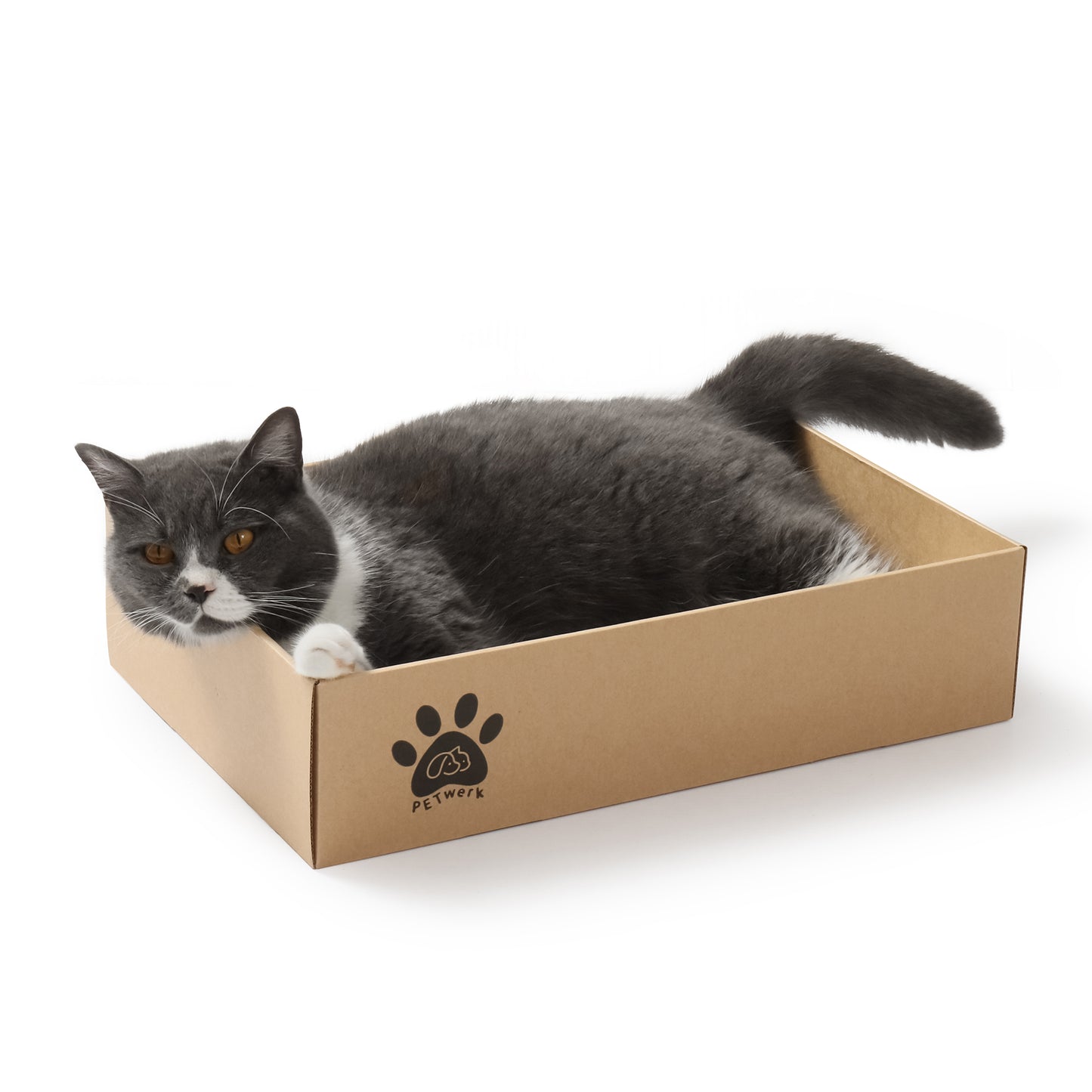 PETWERK® Katzenkratzpappe PANDOR Box mit 5 Kratzbrettern - Doppelseitige Kratzpappe für Katzen - Kratzbrett Katze zur Krallenpflege - Kratzbox - Kratz Karton - 28L x 10,5B x 44H cm