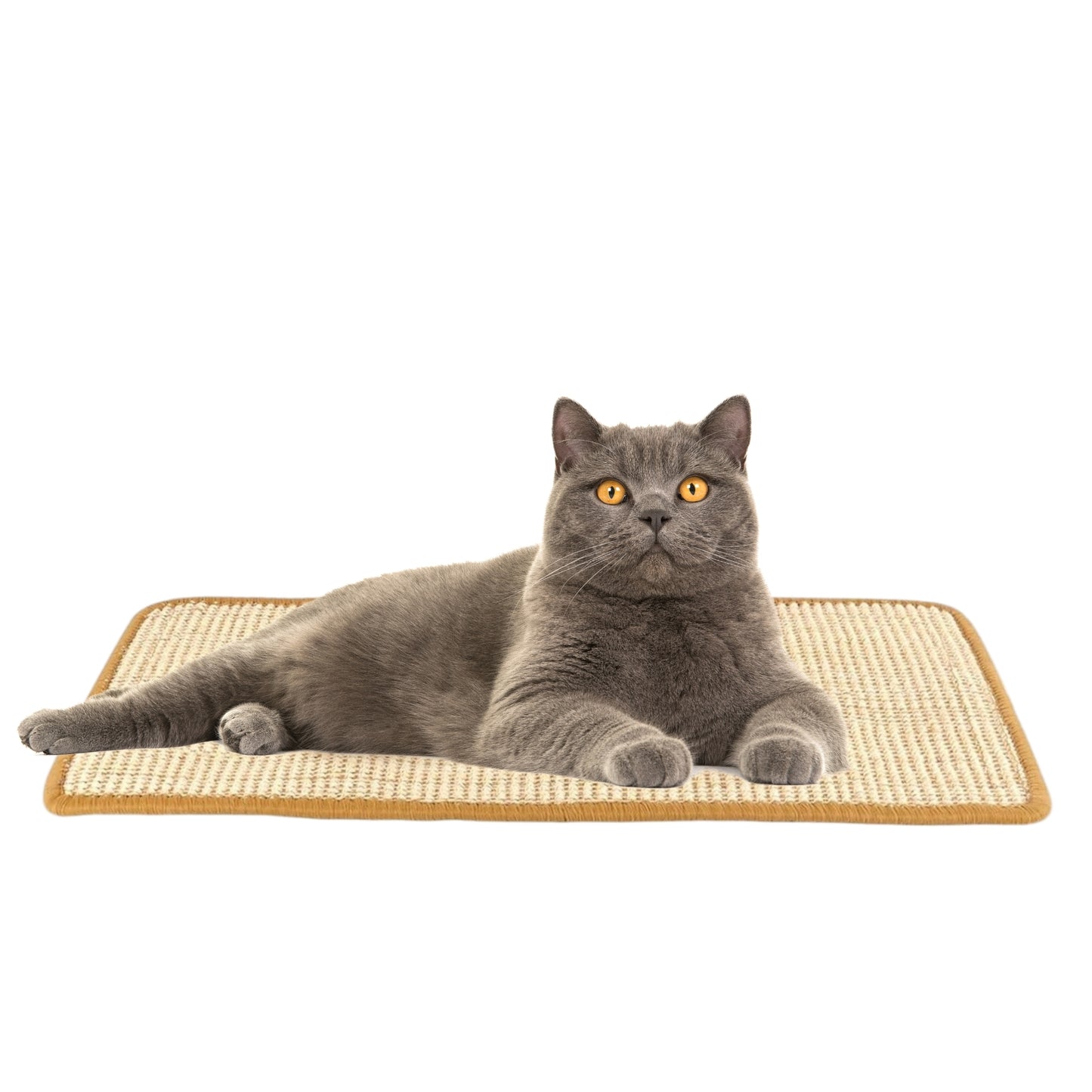 PETWERK® Kratzmatte | Katzen Vorleger| Kratzteppich| Sisal Kratzmatte| Katzenmöbel| Krallenpflege